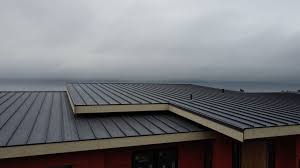 Best Roof Coating and Sealing  in Lake Ripley, WI